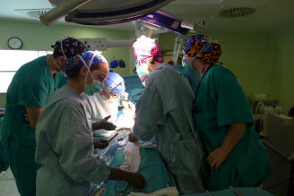 El Sector Málaga realitza 116 trasplantaments en els primers set mesos de l’any