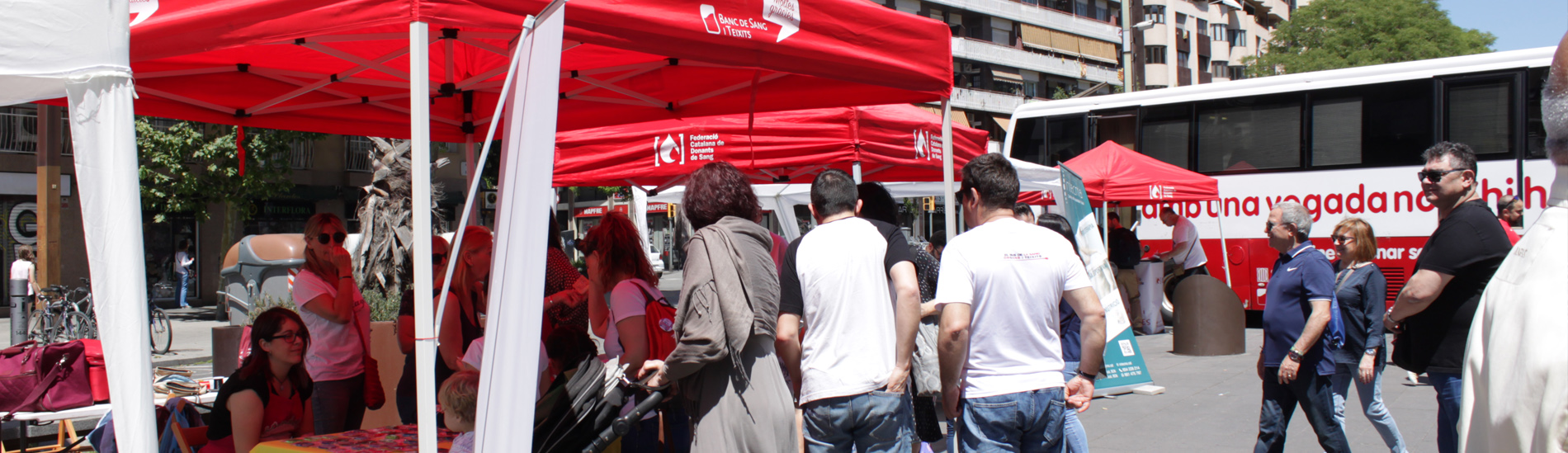 El Bus de la sangre, órganos y tejidos alcanza los objetivos